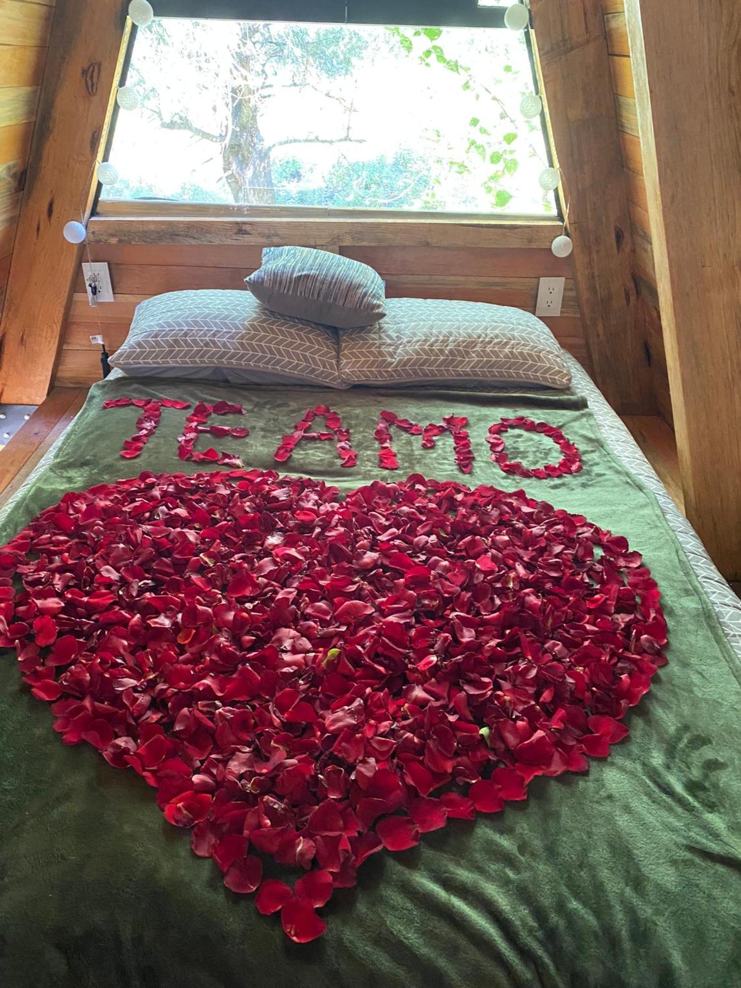 Cabanas Alpina, Romantica Y Acogedora A 10 Minutos Del Centro Tepoztlán Kültér fotó
