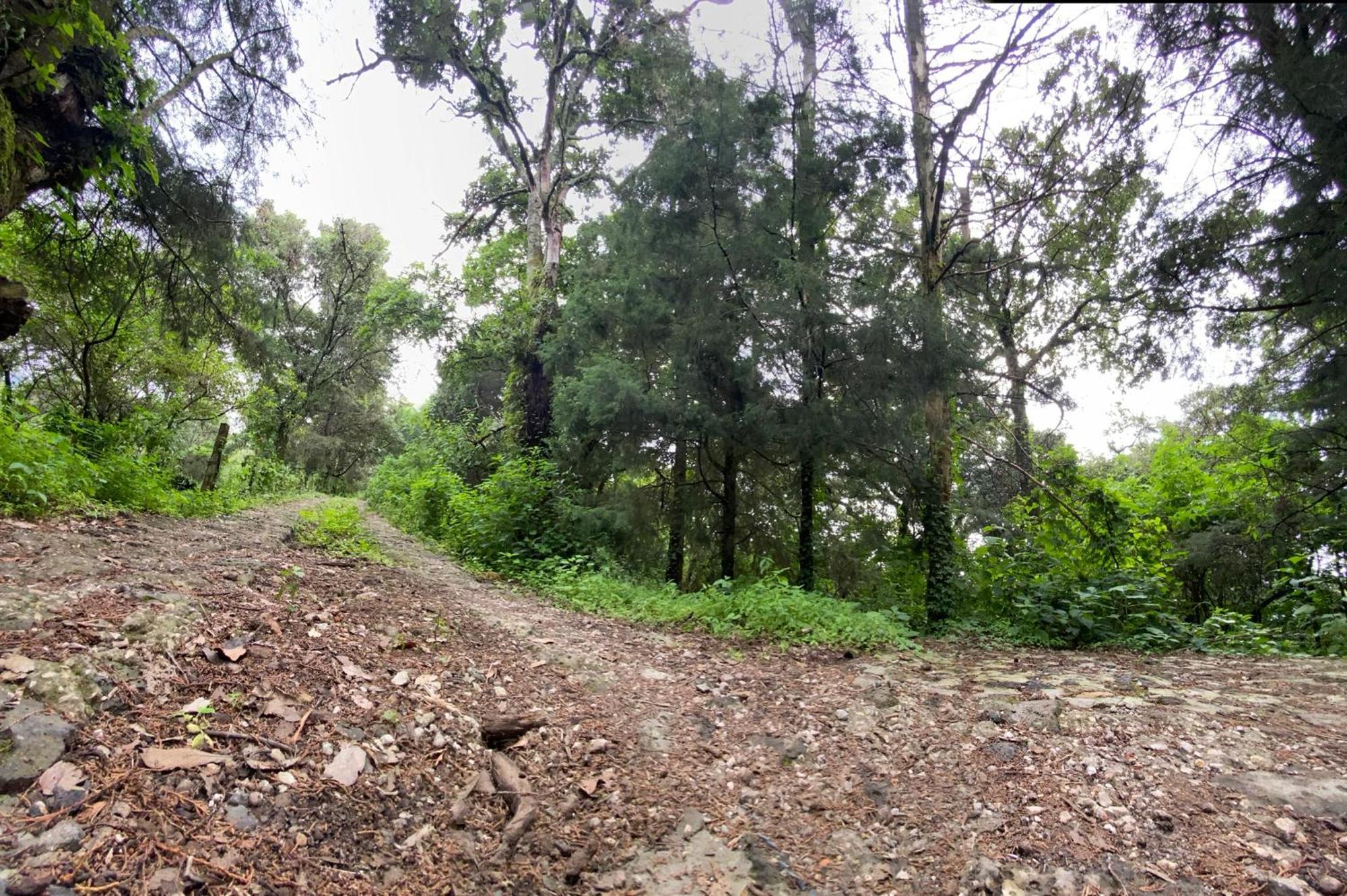 Cabanas Alpina, Romantica Y Acogedora A 10 Minutos Del Centro Tepoztlán Kültér fotó
