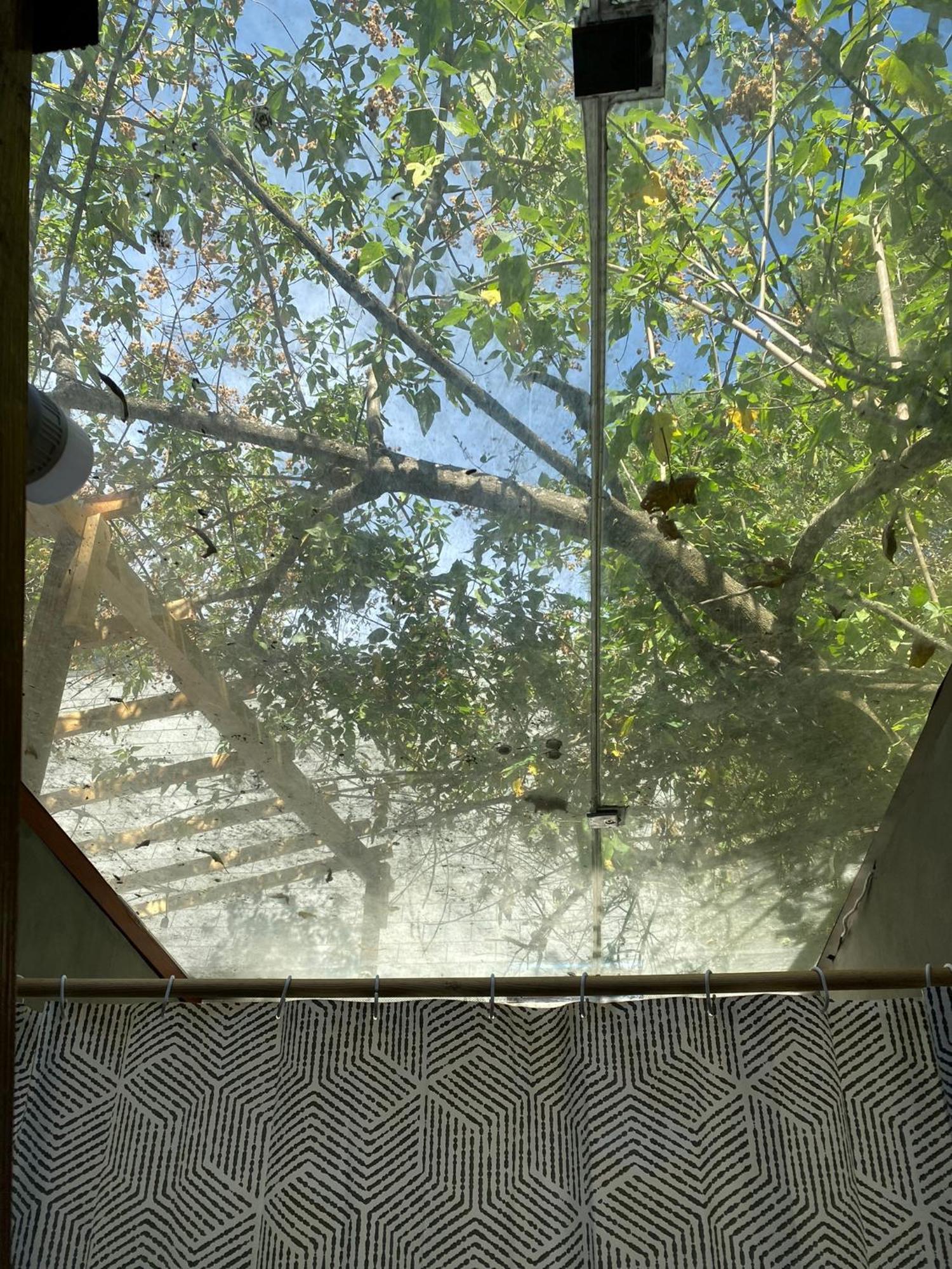 Cabanas Alpina, Romantica Y Acogedora A 10 Minutos Del Centro Tepoztlán Kültér fotó