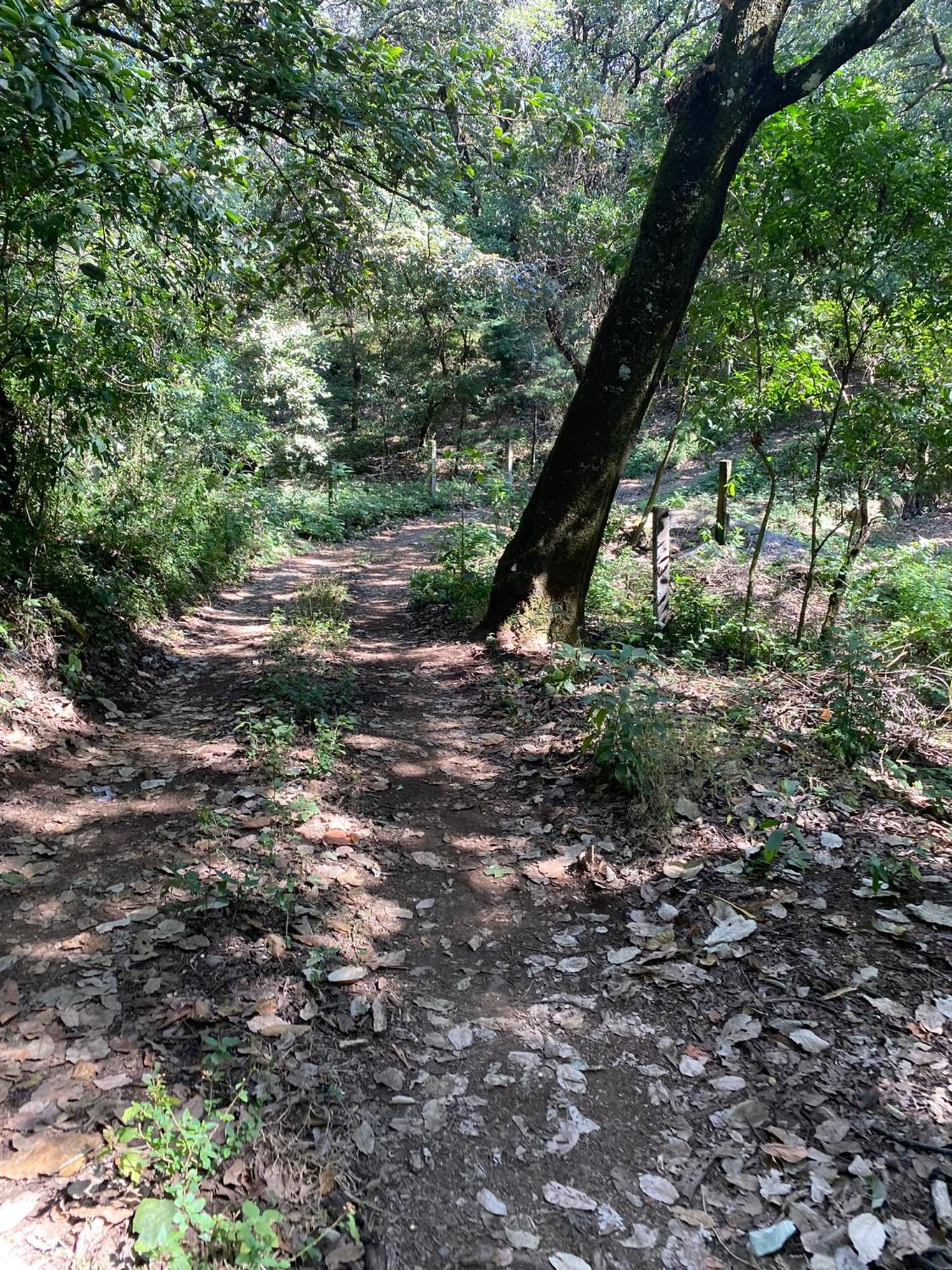 Cabanas Alpina, Romantica Y Acogedora A 10 Minutos Del Centro Tepoztlán Kültér fotó