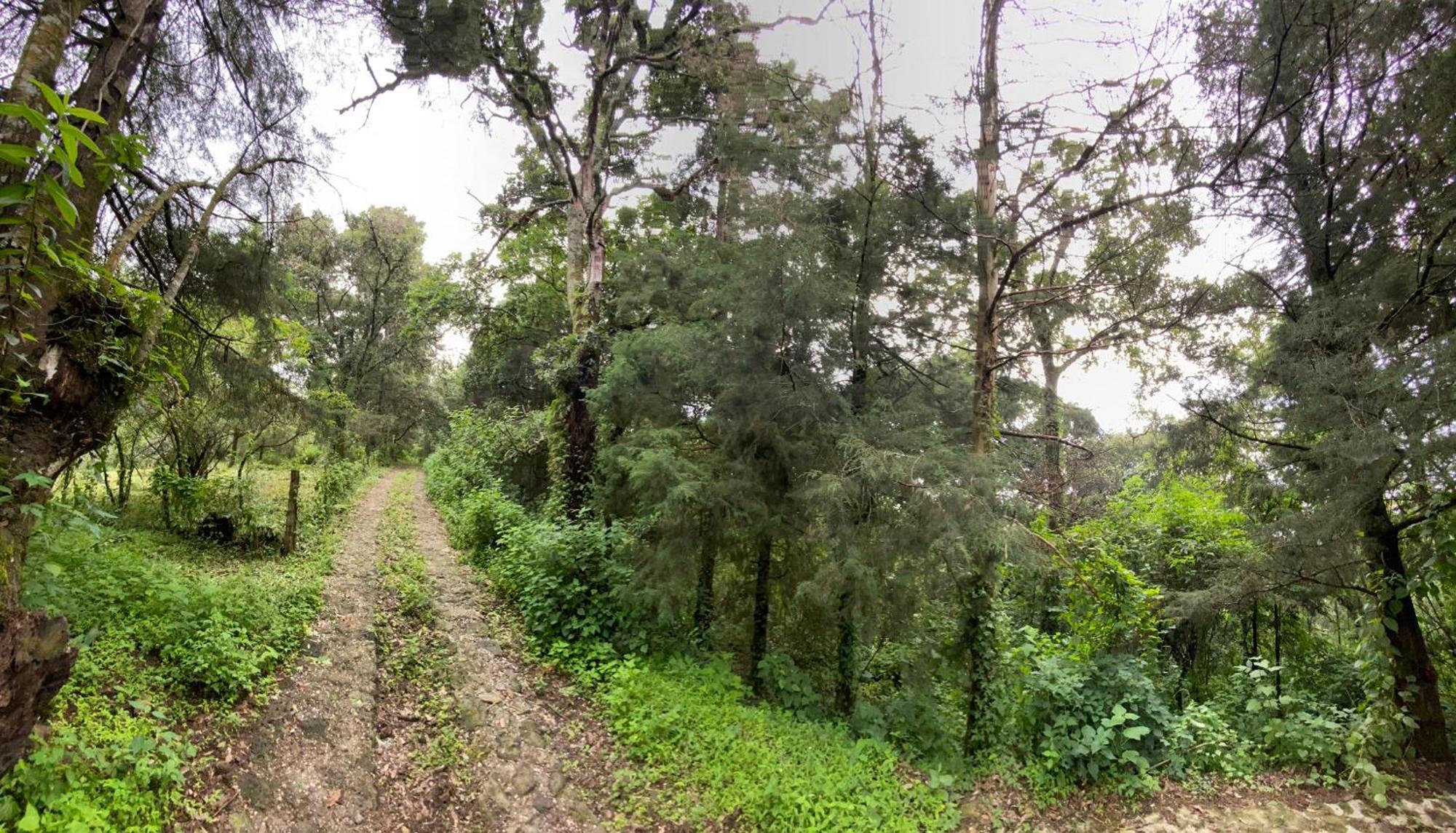Cabanas Alpina, Romantica Y Acogedora A 10 Minutos Del Centro Tepoztlán Kültér fotó